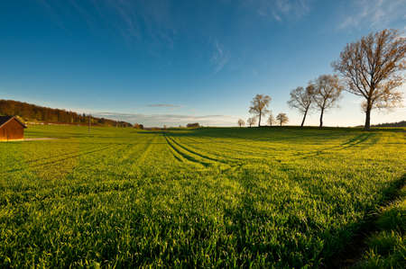 Green Pastures around Farm House in Switzerland in the Morningの写真素材
