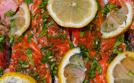 Raw Pink Salmon with Herbs and Lemon