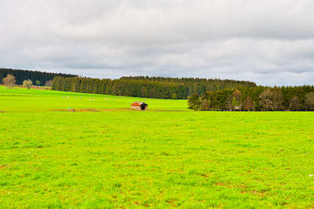 Green Pasture in the Ardennes, Belgiumの写真素材
