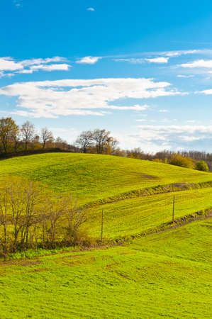 Green Sloping Meadows of Tuscanyの写真素材