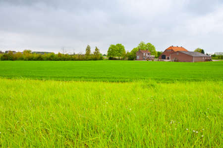 Meadows on the Outskirts of a Small Dutch Townの写真素材