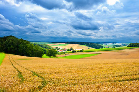 The Bavarian Village Surrounded By Mown Fieldsの写真素材