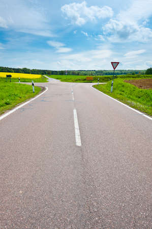Asphalt Road between Fields of Lucerne in Germanyの写真素材