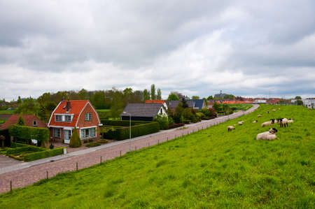 Sheep Grazing on the Protective Dam near Dutch Townのeditorial素材