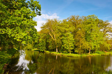 Greenwood on the Canal Bank in the Netherlandsの写真素材