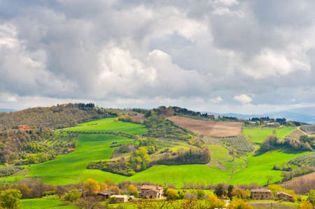 Olive Groves on the Slopes of the Apennine Mountains, Italy