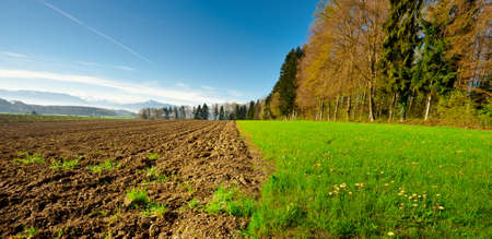 Ploughed Field near the Forest, Swiss Alpsの写真素材