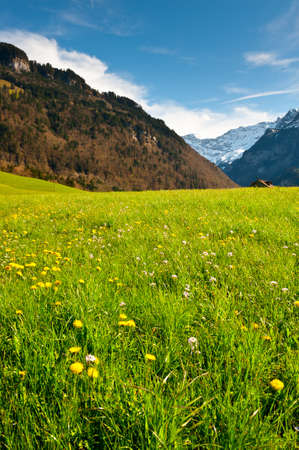 Green Pastures around Farm House in Switzerlandの写真素材