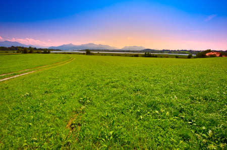 Meadow near Bavarian Lake Chiemsee, Sunsetの写真素材