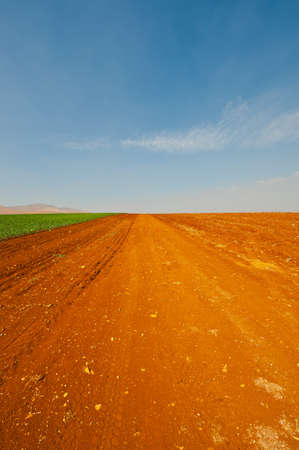 Dirt Road between Plowed Fields in Israel, Springの写真素材