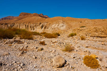  Desert on the West Bank of the Jordan Riverの写真素材