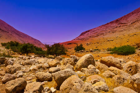 Stone Hills of Samaria, Israel. Sunriseの写真素材