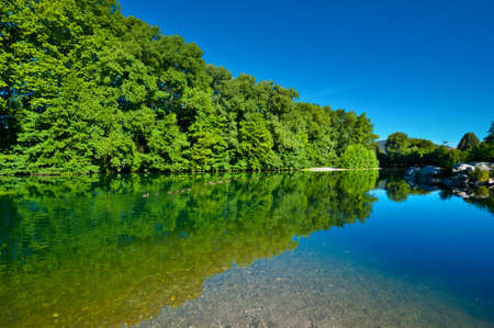 Wild Ducks on a Tranquil Forest Lake in France