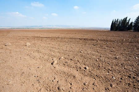Poor Plowed Soil after the Harvest in Israelの写真素材