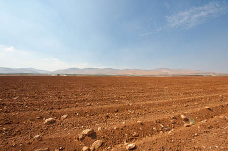 Poor Stony Soil after the Harvest in Israel