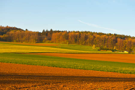 Plowed Fields Surrounded by Forests in Switzerland
