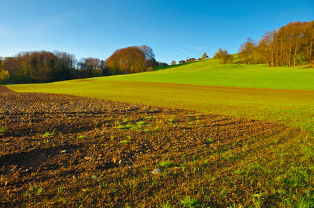 The Swiss Farmhouse Surrounded by Forests and Plowed Fields