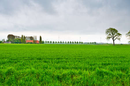 Farmstead on Land Reclaimed from the See, Netherlandsの写真素材