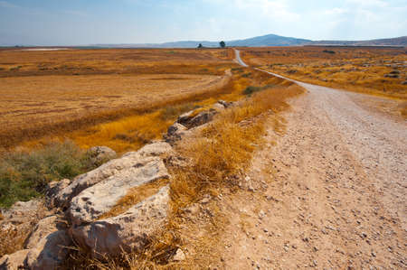 Dirt Road between Plowed Fields in Israel, Springの写真素材