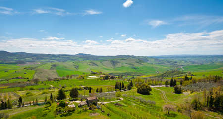 Panorama of Farmhouses and Green Sloping Meadows of Tuscany