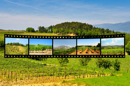 Hill of Tuscany with Vineyards in the Chianti Region, with Film Strip