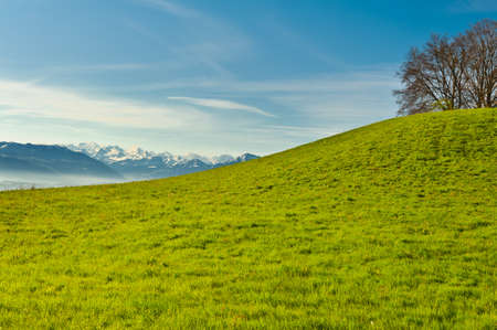 Pasture on the Background of Snow-capped Alps, Switzerlandの写真素材