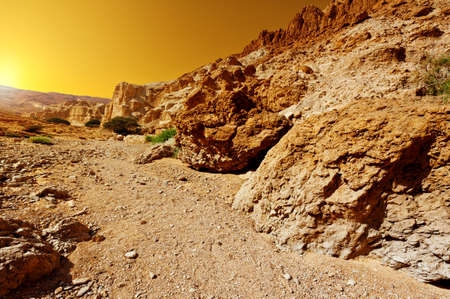 Canyon in the Judean Desert on the West Bank, Sunrise の写真素材