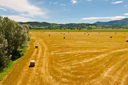 Landscape with Many Hay Bales の写真素材
