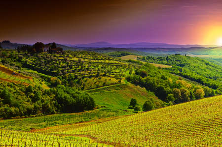 Hill of Tuscany with Vineyard in the Chianti Region, Sunriseの写真素材