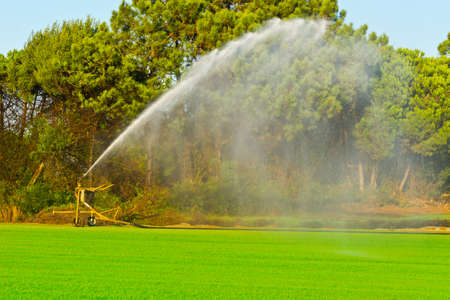 Sprinkler Irrigation on a Field in Portugal