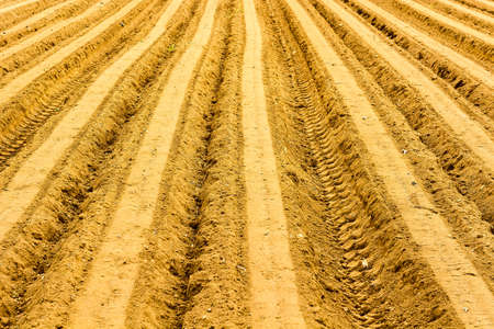 Plowed Field as Natural の写真素材