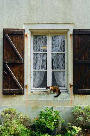 Cat Sitting on the French Window with Open Wooden Shutter の写真素材