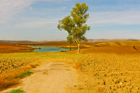 Spanish Landscape with Pond in the Autumnの写真素材