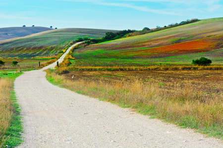 Dirt Road Leading to the Farmhouse in Spainの写真素材