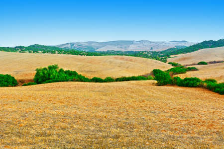 Plowed Sloping Hills of Spain in the Autumnの写真素材