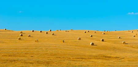 Tuscany Landscape with Many Hay Bales の写真素材