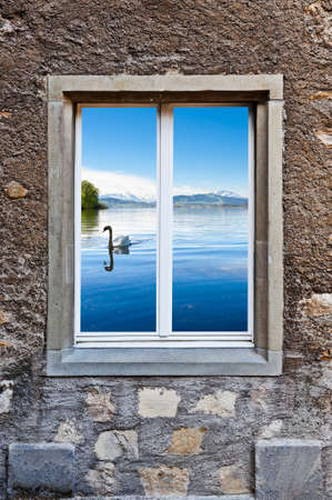 Surreal View of White Swan  through the Window