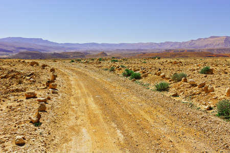 Dirt Road in the Negev Desert in Israelの写真素材