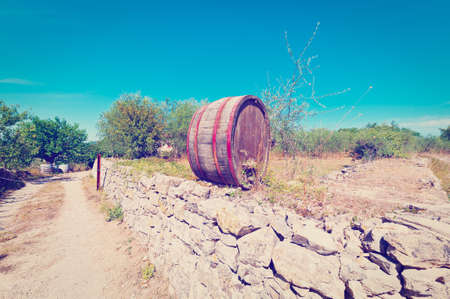 Wine Barrel in Vineyard