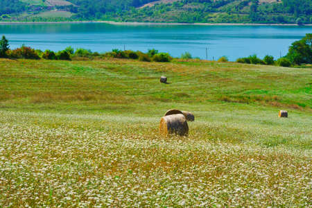 Lake Bilancino on the Background of Italian Alpsの写真素材