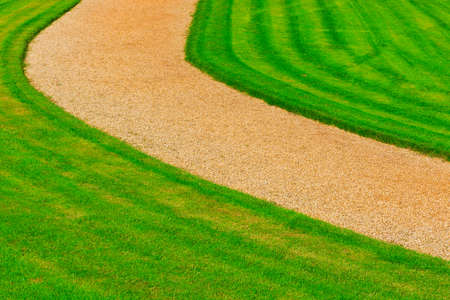 Natural Background of Fresh Green Grassの写真素材