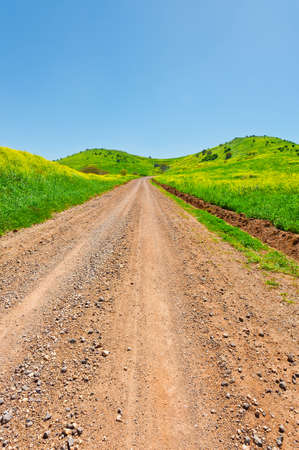 Dirt Road in the Golan Heights, Early Springの写真素材