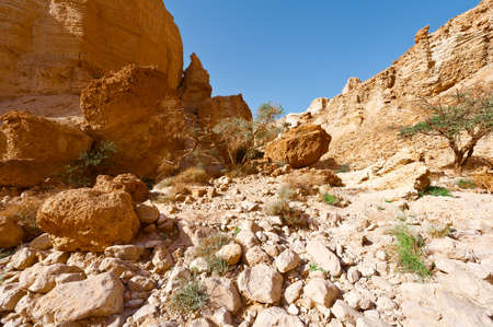 Dry Riverbed in the Judean Desert