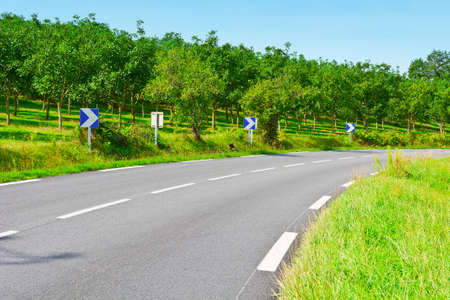 Winding Paved Road near Orchard in Franceの写真素材