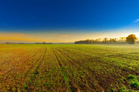 The Swiss Farmhouse Surrounded by Plowed Fields, Sunrise