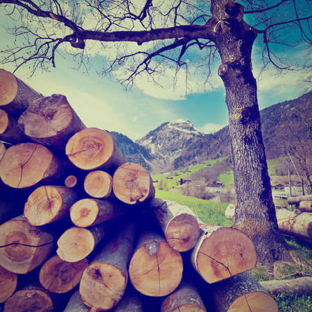 Sawed Firewood  in the Swiss Alps,の写真素材