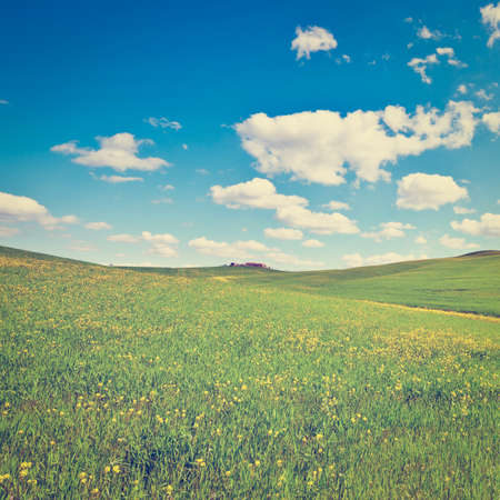 Farmhouse Surrounded by Sloping Meadows of Tuscanyの写真素材