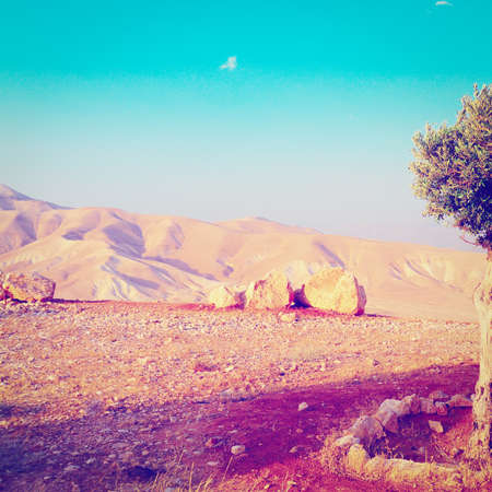 Landscape of Judea Mountainsの写真素材