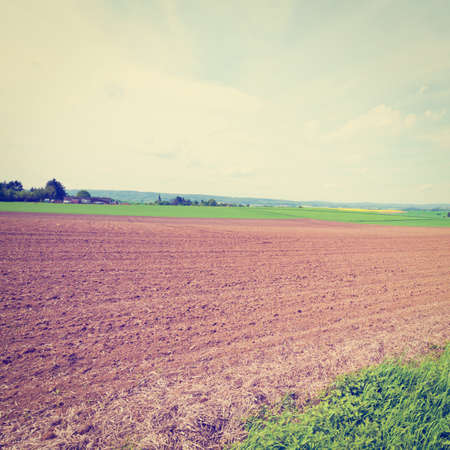 Green Grass and Plowed Field in Germanyの写真素材