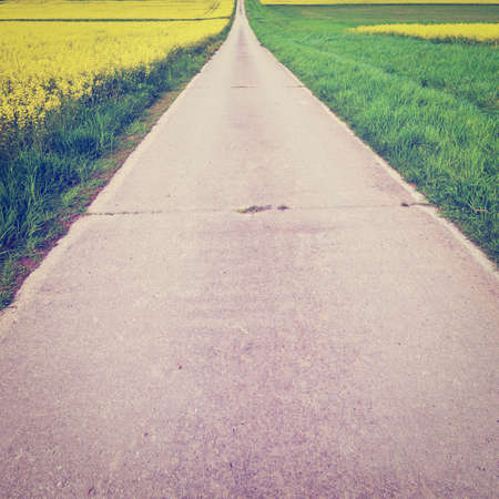 asphalt road between fields of lucerne in germany,の写真素材